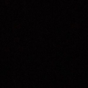 Meet your Posher, Bailey